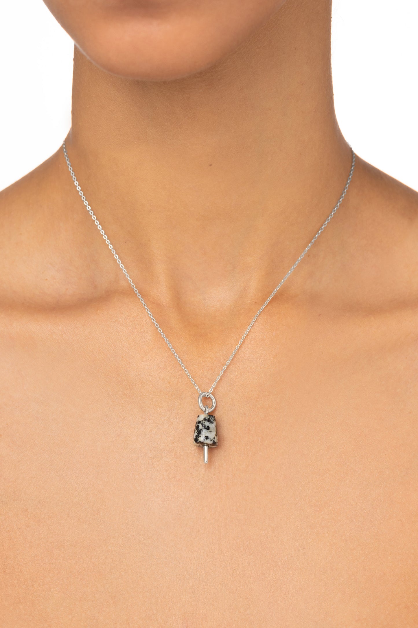 Pilón - Dálmata Dominicano