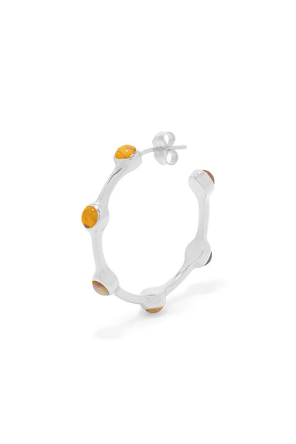 ROB 1.0 Hoops