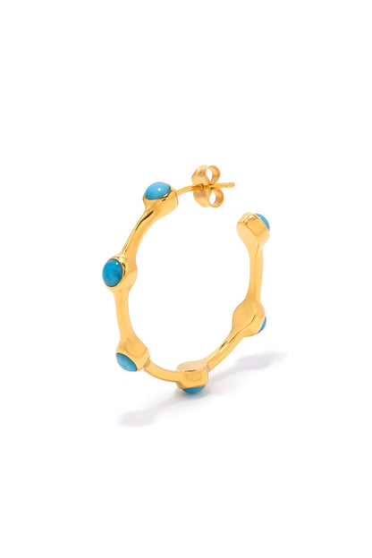 ROB 1.0 Hoops