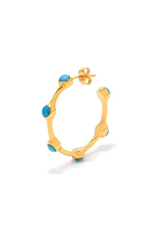 ROB 1.0 Hoops