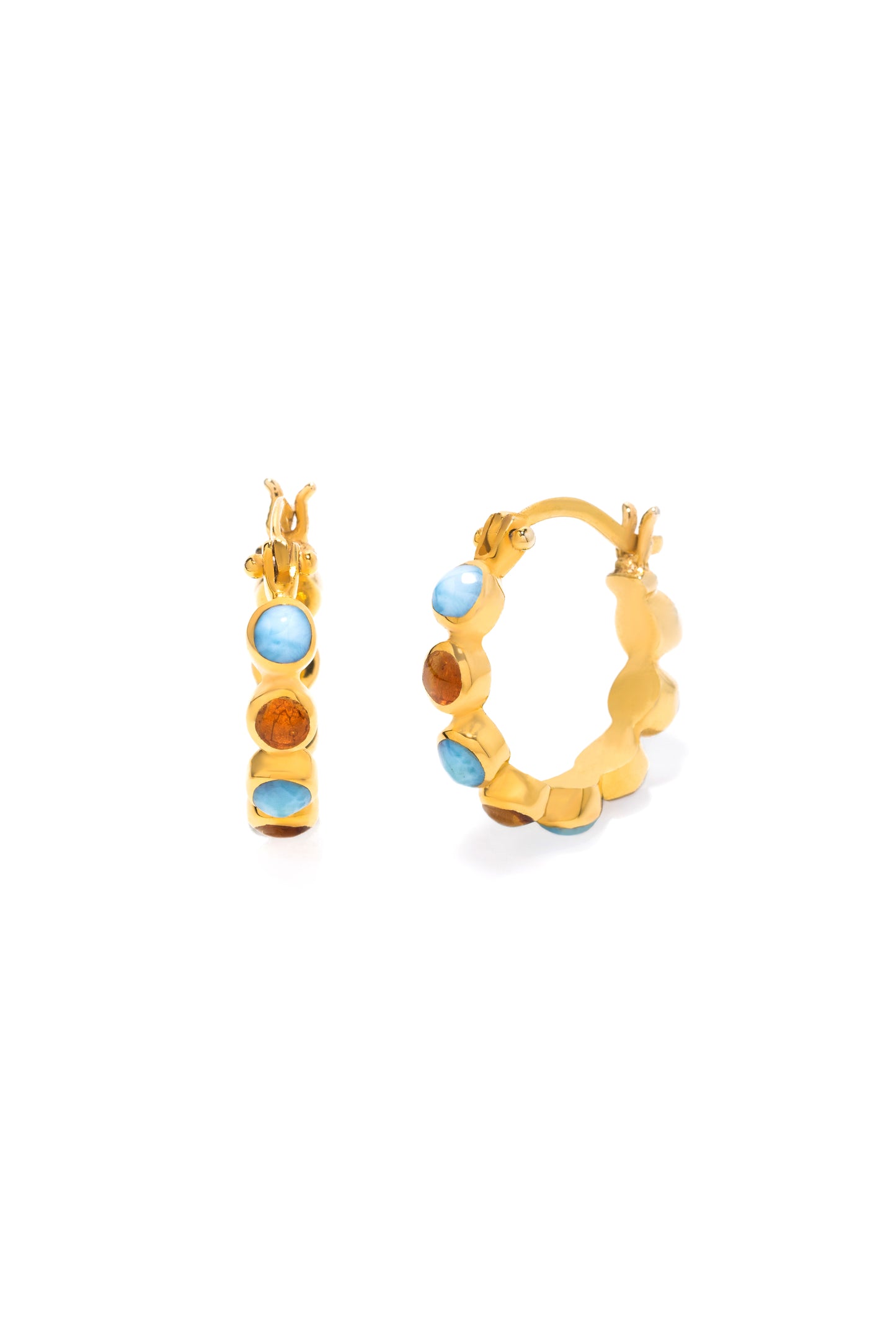 ROB Earrings