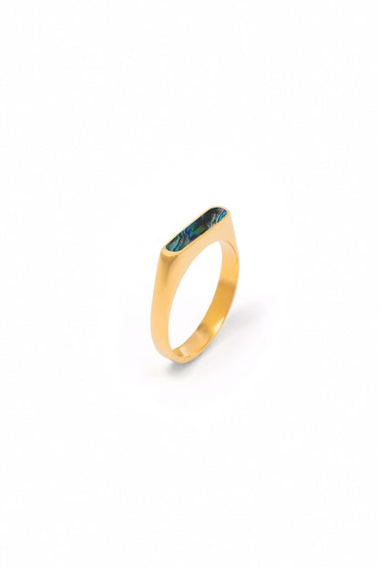 Abalone Signet